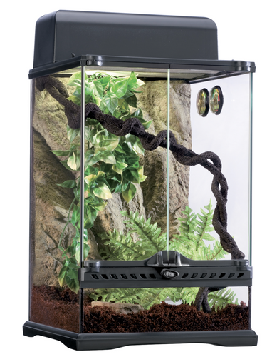 *LOCAL PICKUP* Exo Terra Terrarium Rainforest Habitat Kit Medium Tall (45x45x60)