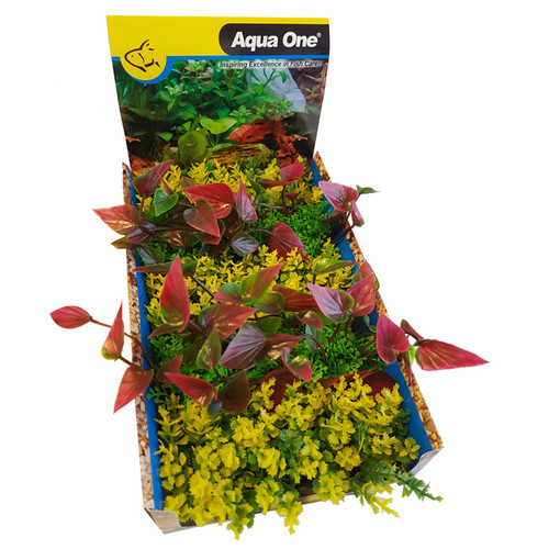 Aqua One Ecoscape Foreground Catspaw Yl/lilly R Mix Plastic Plant Punnet - 5pk (28366)