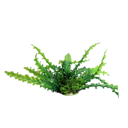 Aqua One Ecoscape Ruffled Lace Green Plastic Plant 20cm - Med (28381)
