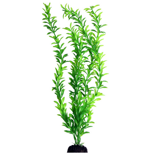 Aqua One Ecoscape X-Large Ludwigia Green 40cm (28412)