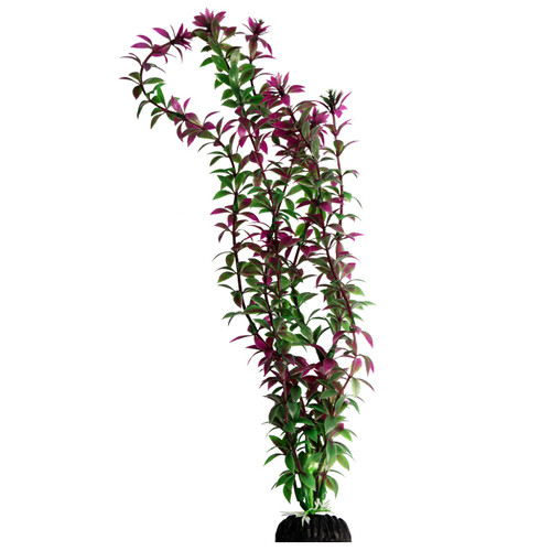 Aqua One Ecoscape X-Large Rotala Red 40cm (28415)