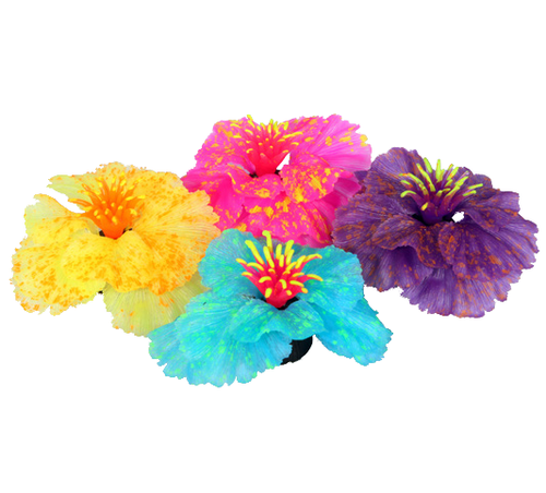 Aqua One Flexiscape Flos Ignotum Assorted Colours 6.5cm 1pk (29429)