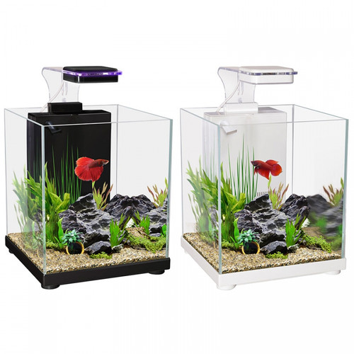 Aqua One Betta Sanctuary Glass Aquarium 10L White (56308WH)