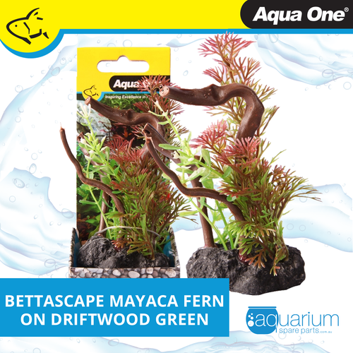 Aqua One Bettascape Mayaca Fern On Driftwood Green (28477)