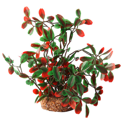 Aqua One Ecoscape Medium Calidum Et Folius Green (28462)