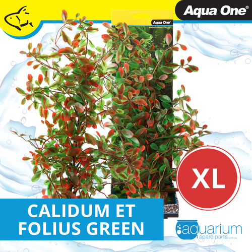 Aqua One Ecoscape X-Large Calidum Et Folius Green (28464)