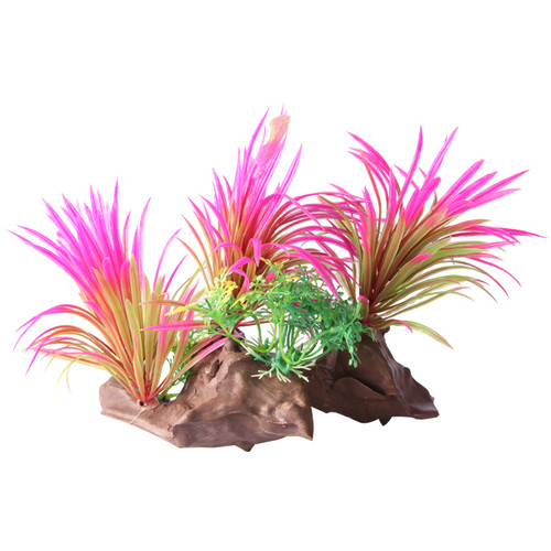 Aqua One Ecoscape Dracaena On Driftwood Pink (28470)