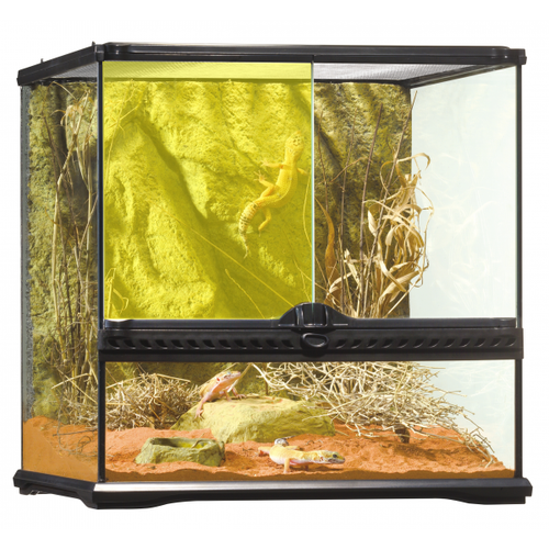 snake enclosure afterpay