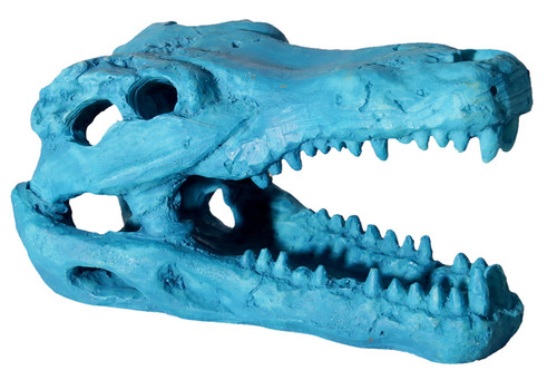 Aqua One Hermit Crab Alligator Skull Blue Ornament 7.5x4.5x4.5cm (37181BL)