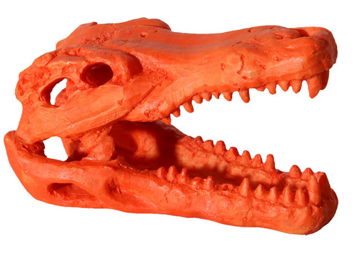 Aqua One Hermit Crab Alligator Skull Orange Ornament 7.5x4.5x4.5cm (37181OR)