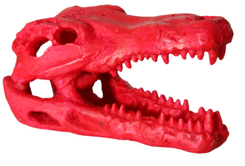 Aqua One Hermit Crab Alligator Skull Red Ornament 7.5x4.5x4.5cm (37181R)