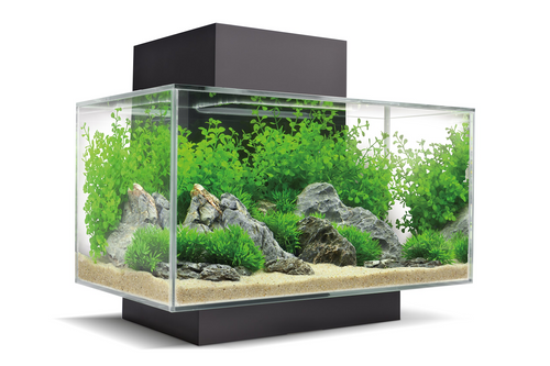 Fluval Edge 2.0 Aquarium Kit 23L Black (15034A)