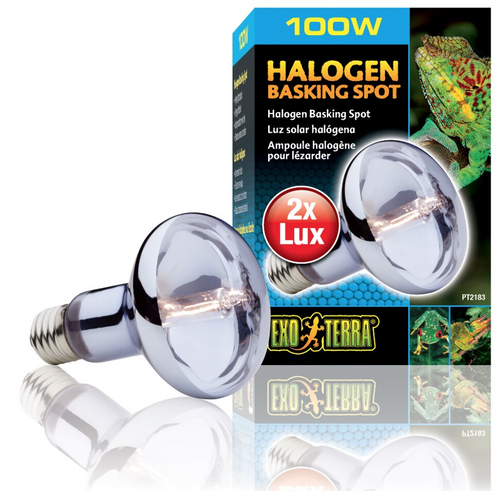 Exo Terra Halogen Basking Spot Lamp Kit 100W (3pc)