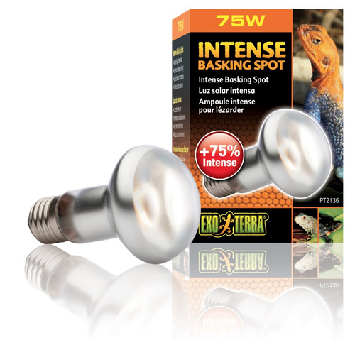 Exo Terra Intense Repti Basking Spot Lamp Kit 75W (3pc)
