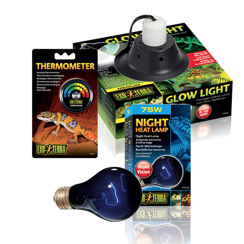 Exo Terra Night Heat Lamp Kit 75W (3pc)