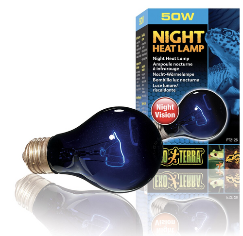 Exo Terra Night Heat Lamp Kit 50W (3pc)