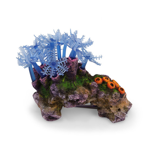 Kazoo Blue Leaf Coral W/Rock (19454)