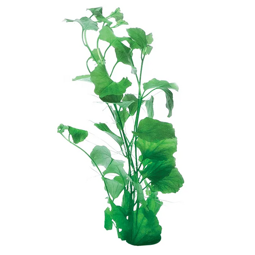 Pisces Live Plant Cardamine Lyrata Emerse Grown Plants (110310)
