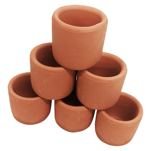 Pisces Live Plant Terracotta Pot 3cm - Pack Of 50  (110942)