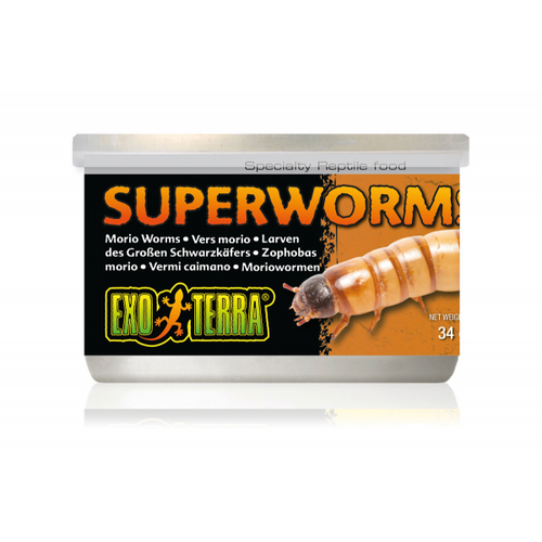 Exo Terra Canned Superworms 34g Reptile Lizard Food (PT1964)