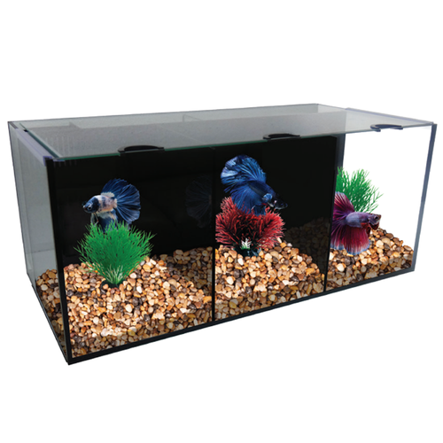 Aqua One Betta Condo Trio 60x24x24cm (56291)