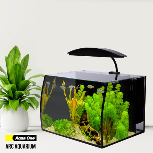 Aqua One Arc 30 Glass Aquarium (56233)