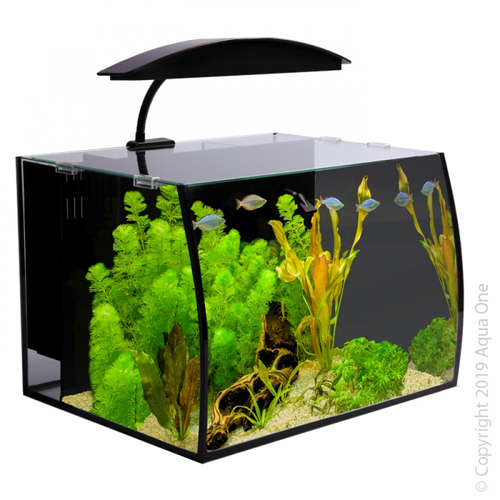 Aqua One Arc 30 Glass Aquarium (56233)