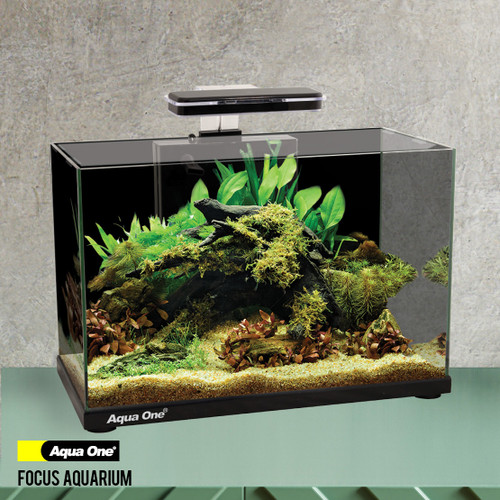 Aqua One Focus 25 Glass Aquarium Black (56222BK)