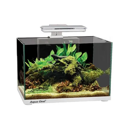 Aqua One Focus 36 Glass Aquarium White (56223WH)