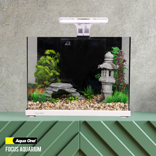 Aqua One Focus 36 Glass Aquarium White (56223WH)