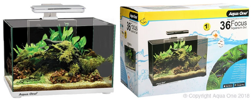 Aqua One Focus 36 Glass Aquarium White (56223WH)