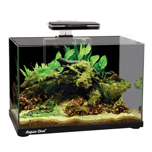 Aqua One Focus 36 Glass Aquarium Black (56223BK)