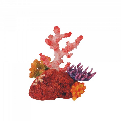 Bioscape Fantasy Cora Garden Ornament 16x15cm (BIS409)