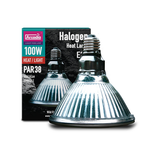 Arcadia Halogen Basking Spot - 100W (MF11206)