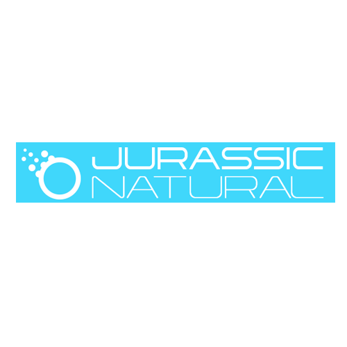 Jurassic Natural Superfresh Dubia Roach 5pc