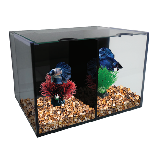 Aqua One Duo Betta Tank - Fighting Fish Hexagonal Aquarium Start