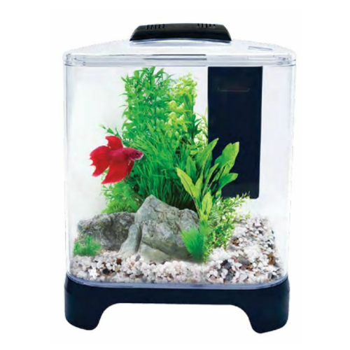 Aqua One Duo Betta Tank - Fighting Fish Hexagonal Aquarium Start