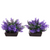 Aqua One Ecoscape Foreground Catspaw 2pk Purple (28295)