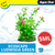 Aqua One Ecoscape Small Ludwigia Green (28250)