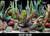 SeaView Deep Flora/Desert Dream Pre-Cut Background 45.7x94cm (SV89509)