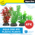 Aqua One Natural Value Plastic Plant Pack Mix 6 - 4pk (24236)