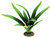 Aqua One African Onion Silk Plant 20cm - Med (24116)