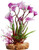 Aqua One Yellow Villarsia W/Gravel Base Plastic Plant - Med (28186)