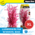 Aqua One Pink Ludwigia/Blyxa W/Gravel Base Plastic Plant - X Large (28229)