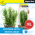 Aqua One Wisteria W/Gravel Base Plastic Plant - X Large (28230)