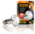 Exo Terra Intense Repti Basking Spot Lamp - 75 Watt (PT2136)