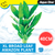 Aqua One Broad Leaf Amazon Silk Plant 40cm - X-Large (24134)