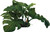 Aqua One Planter Plant Large Green Leaf On Rock - Med (28131M)
