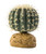 Exo Terra Barrel Cactus - Small 7cm (PT2980) (PT2980)