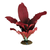 Aqua One Red Amazon Silk Plant 20cm- Med (24110)